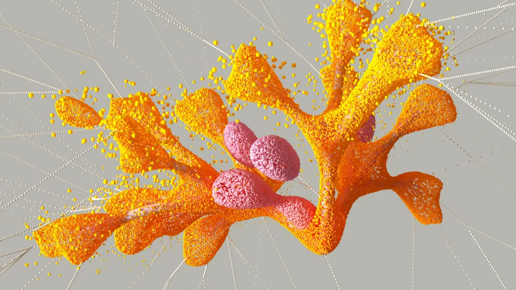 Demo image